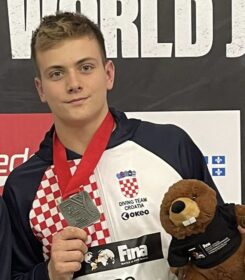 <?php the_title(); ?>