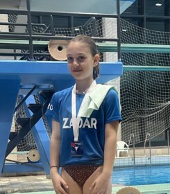 <?php the_title(); ?>